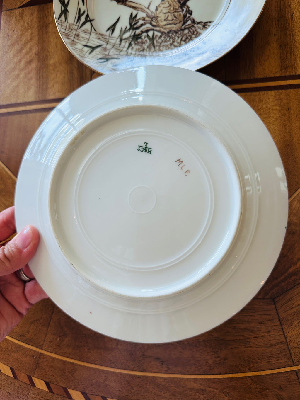 Hand-Painted Haviland Limoge Plates