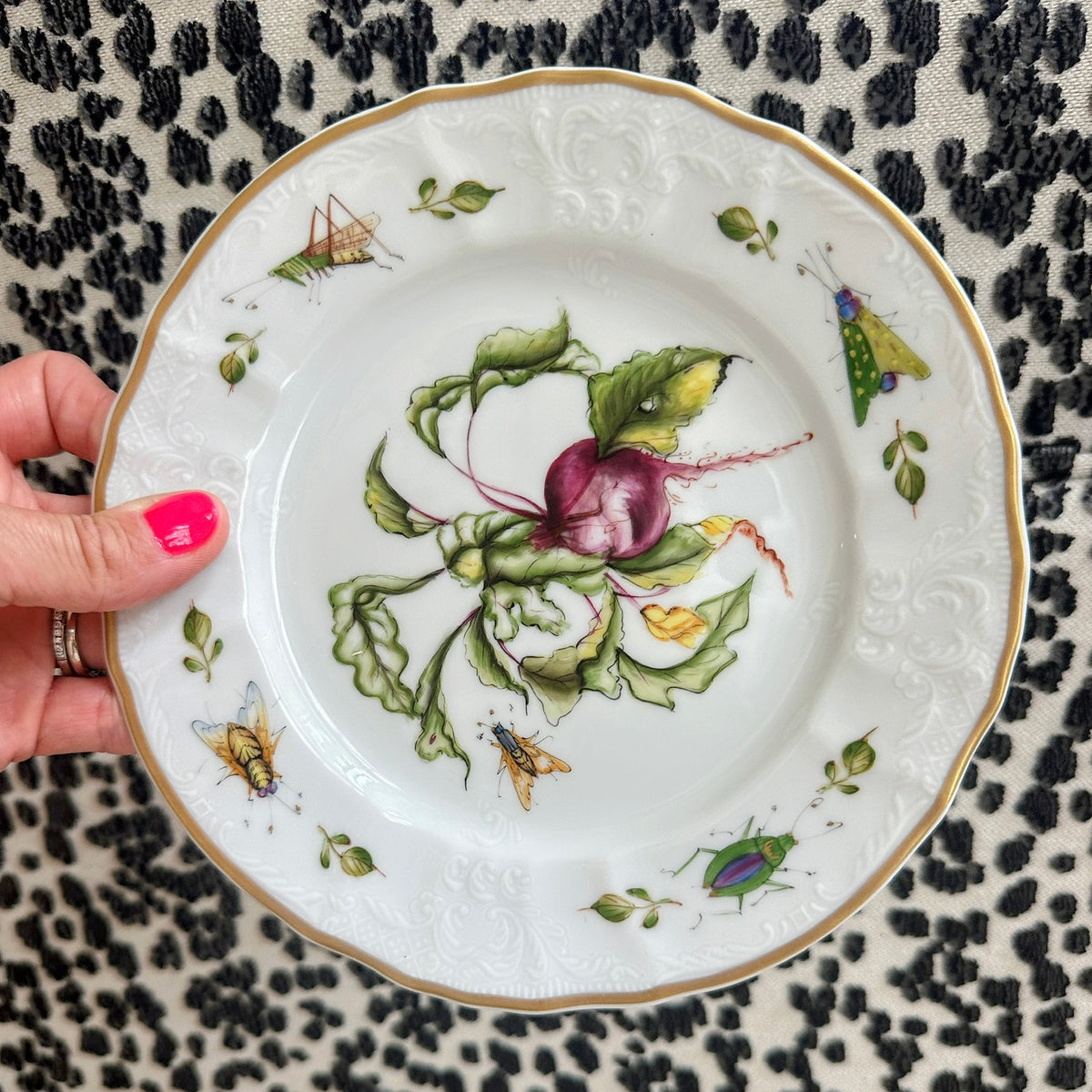 Set of 4 Anna Weatherly Salad Plates
