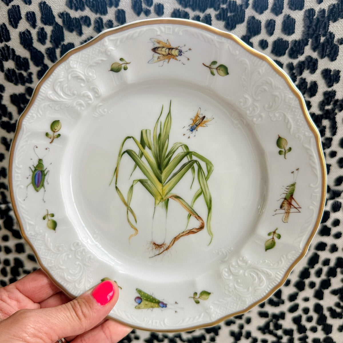 Set of 4 Anna Weatherly Salad Plates