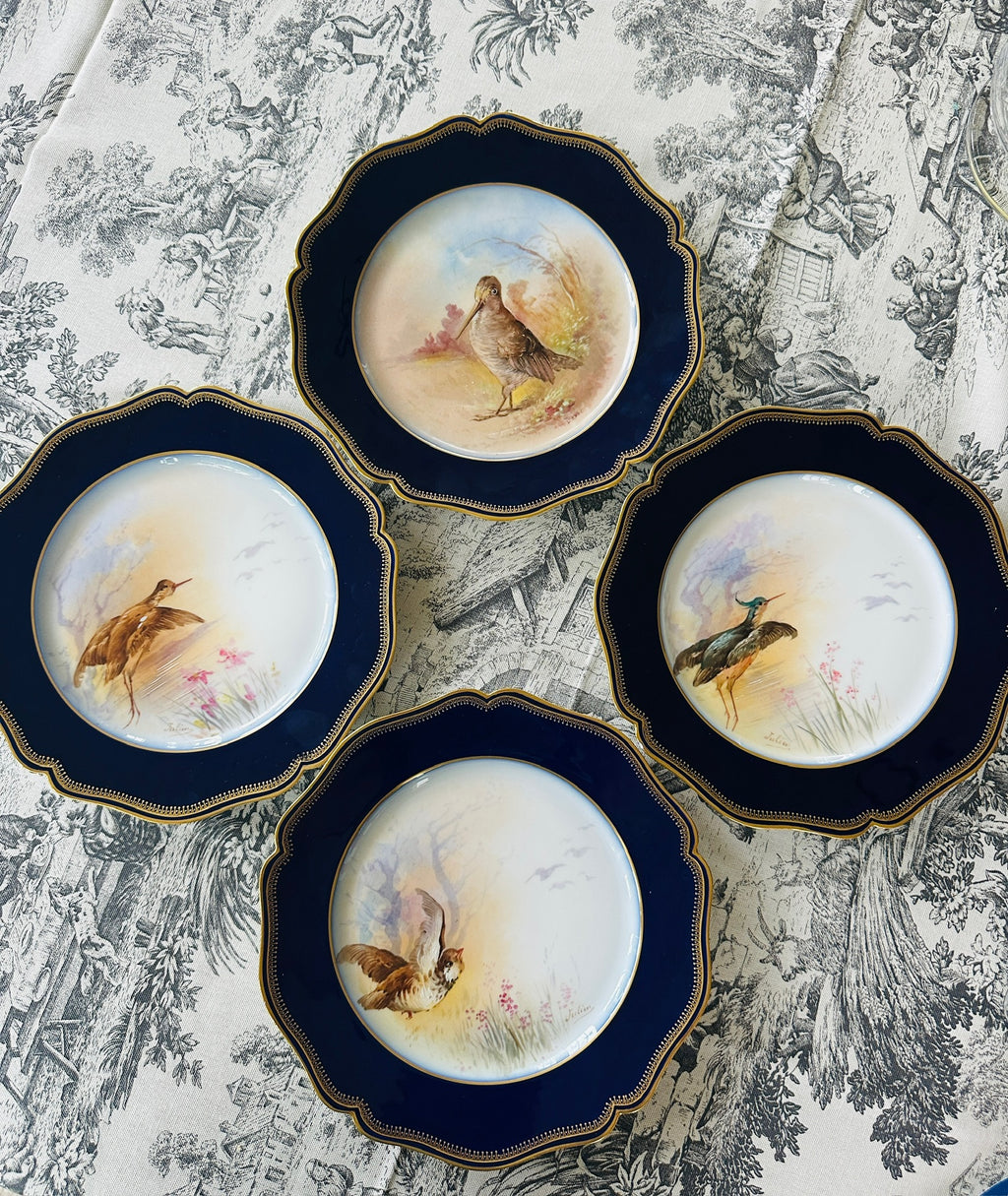 Set of 8 Limoges Hand-Painted Bird Plates