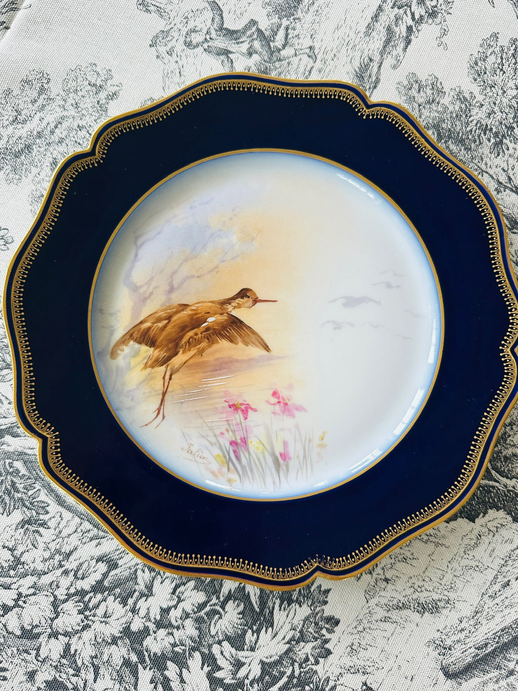 Set of 8 Limoges Hand-Painted Bird Plates