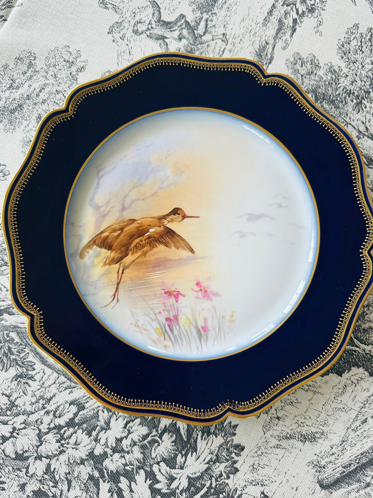 Set of 8 Limoges Hand-Painted Bird Plates