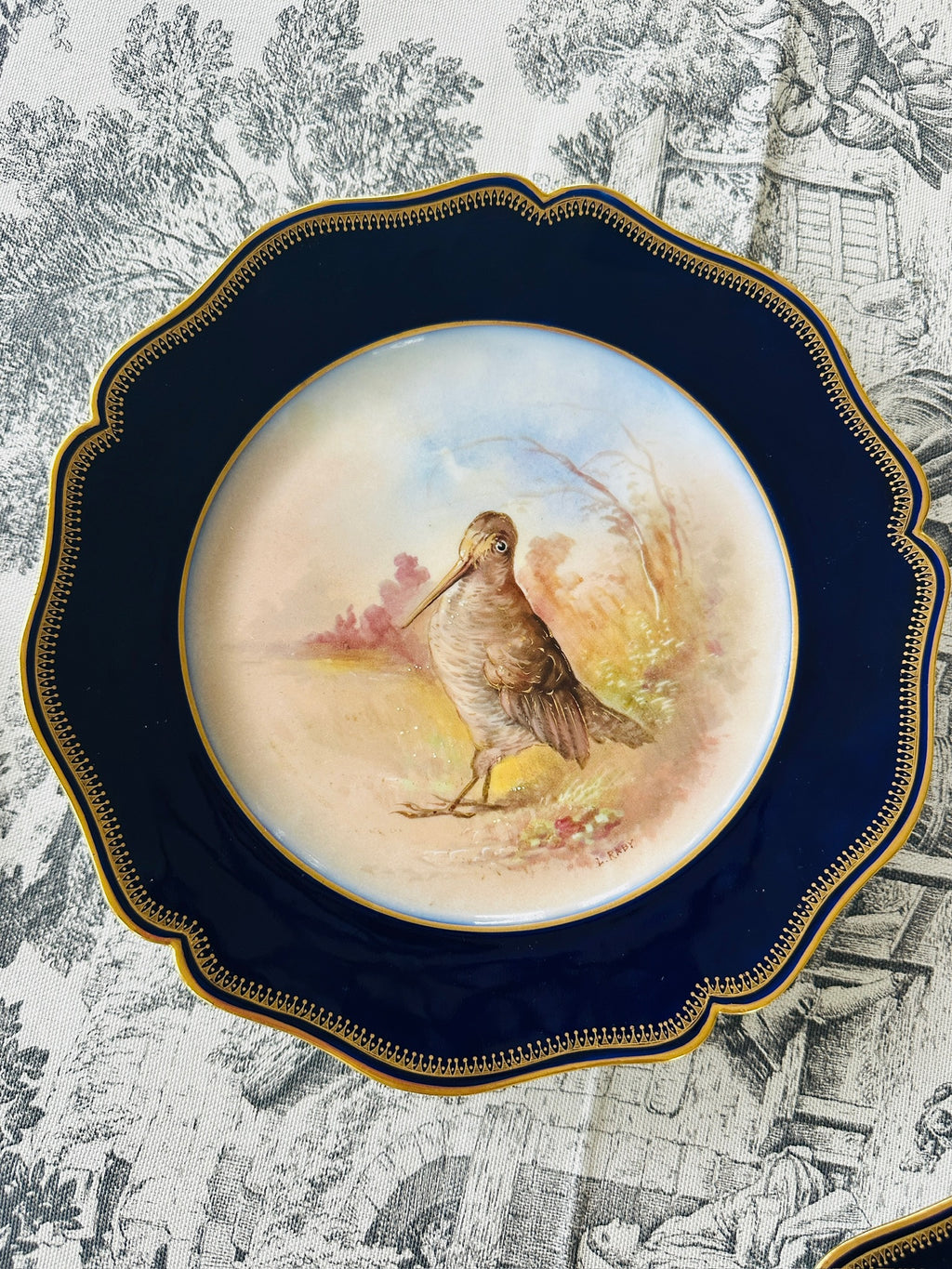 Set of 8 Limoges Hand-Painted Bird Plates
