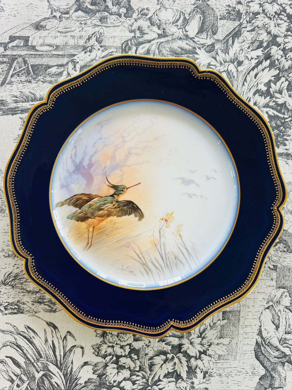Set of 8 Limoges Hand-Painted Bird Plates