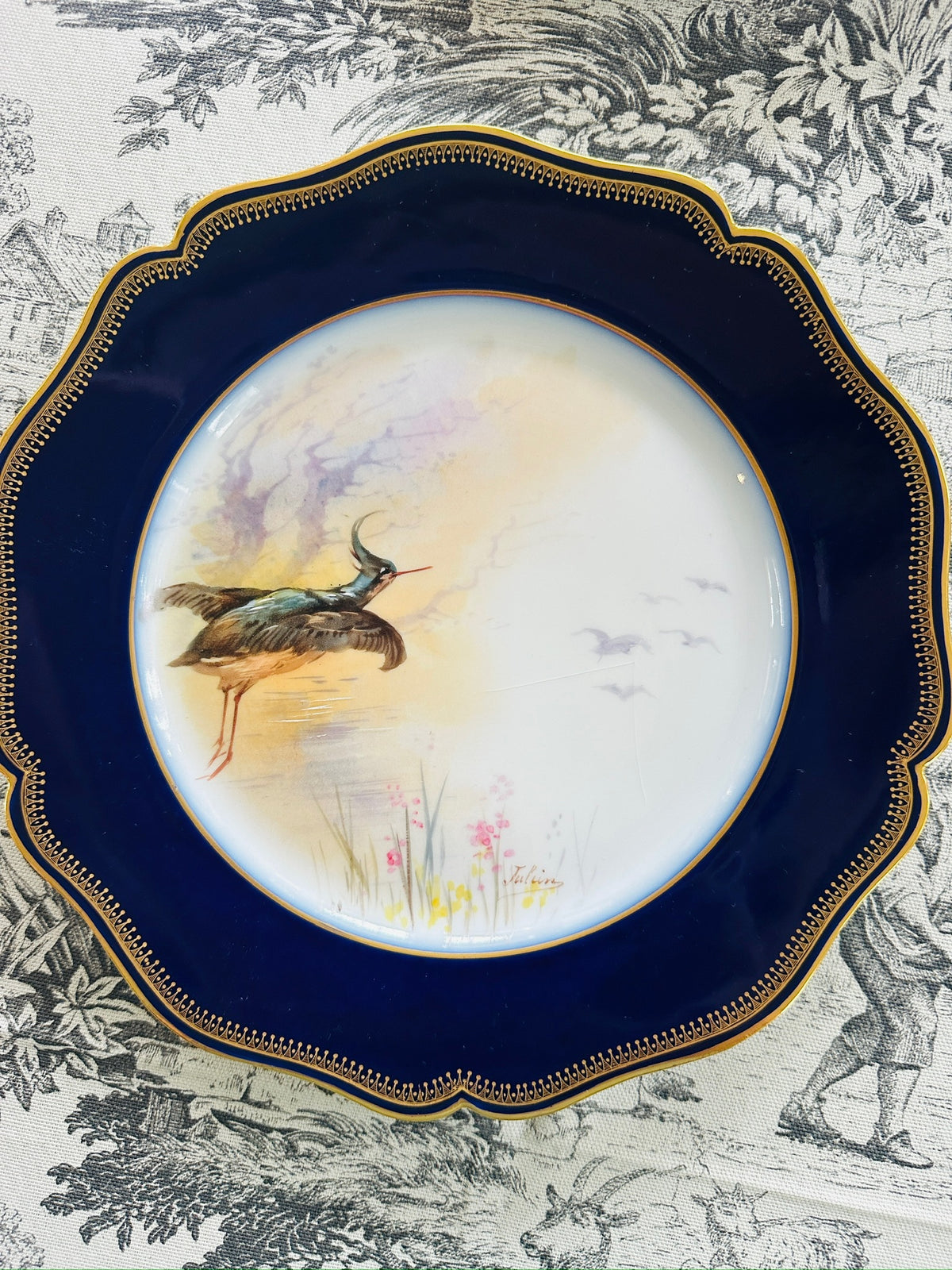 Set of 8 Limoges Hand-Painted Bird Plates
