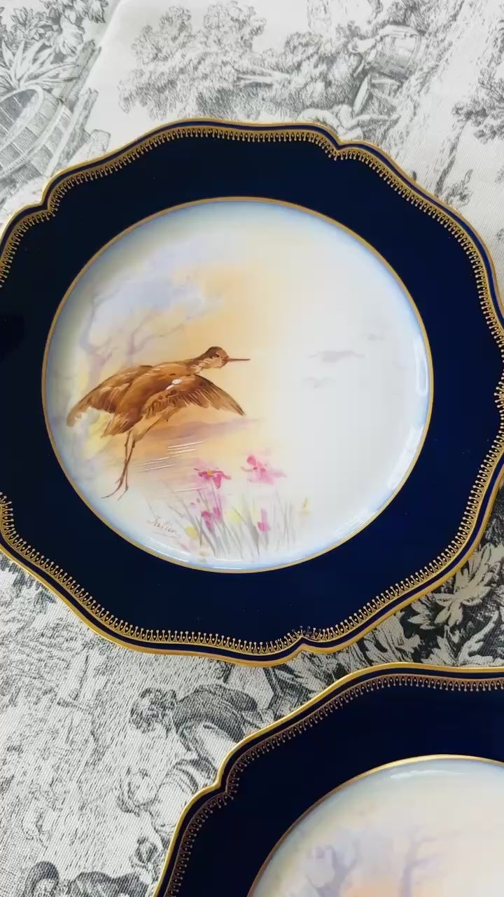 Set of 8 Limoges Hand-Painted Bird Plates