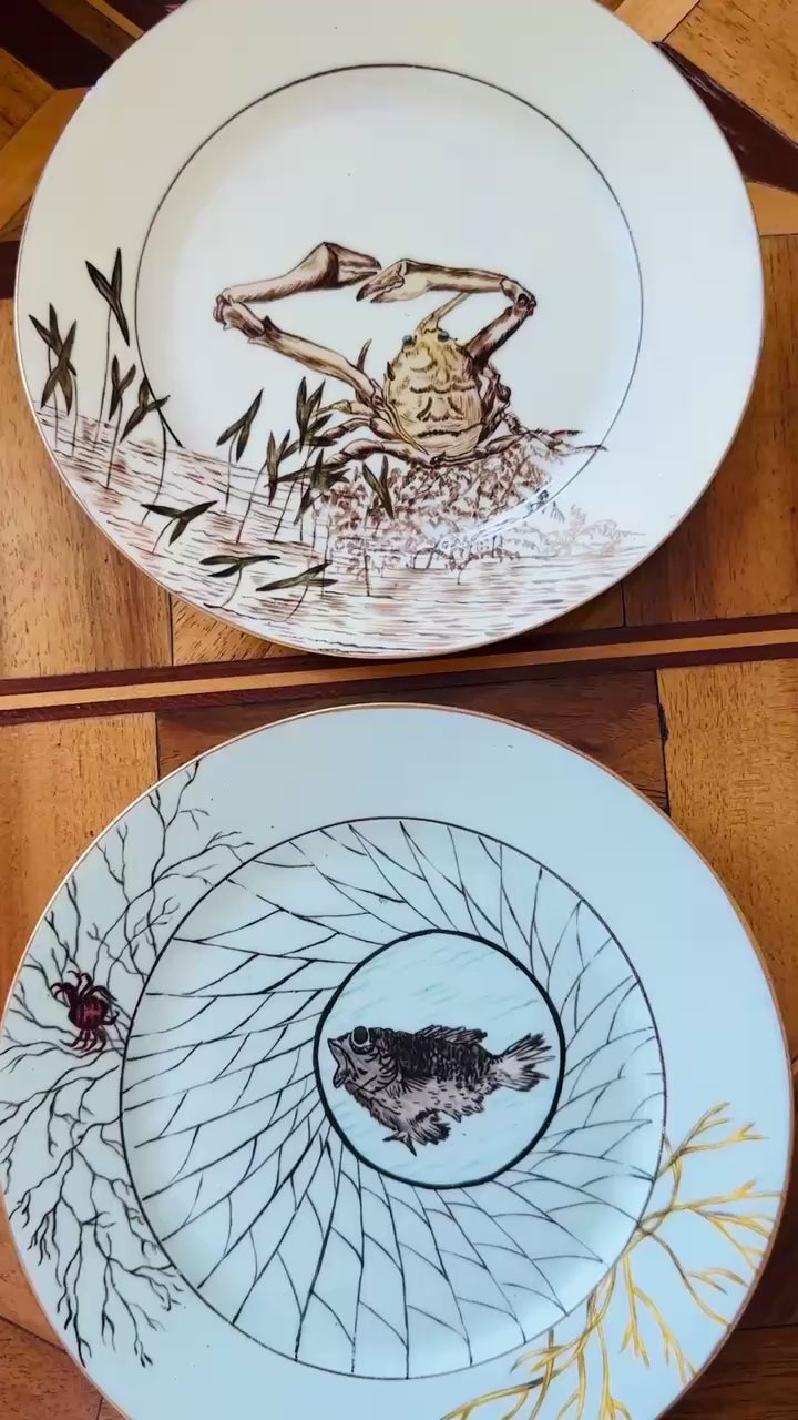 Hand-Painted Haviland Limoge Plates