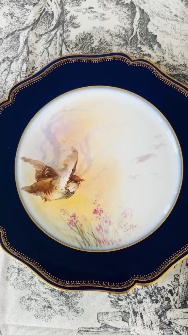 Set of 8 Limoges Hand-Painted Bird Plates